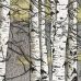 Monique Wales - Autumn Aspens, Second State